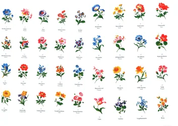 Plantillas para pintura de flores de la manufactura de Meissen